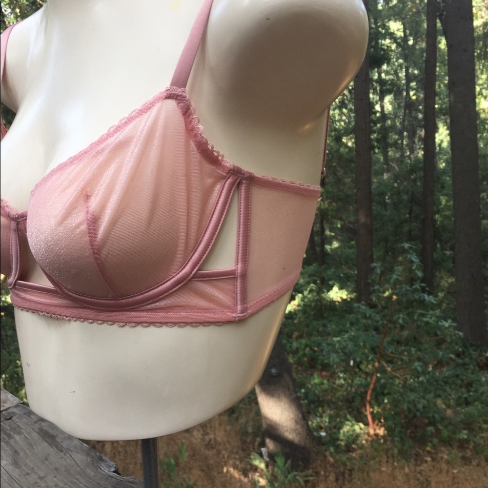 Victoria’s Secret sheer pink underwire bra HP24 - Picture 6 of 13